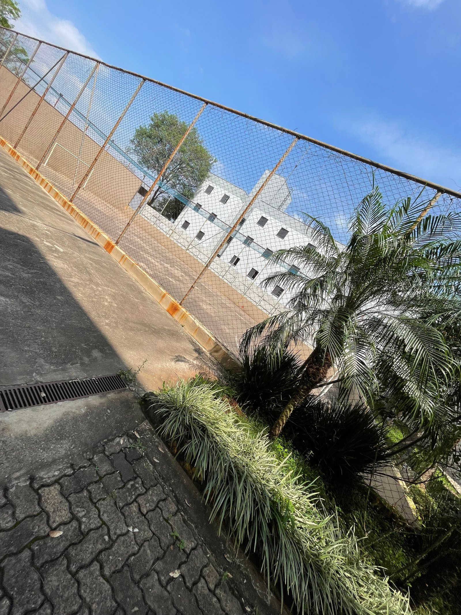 Foto 14