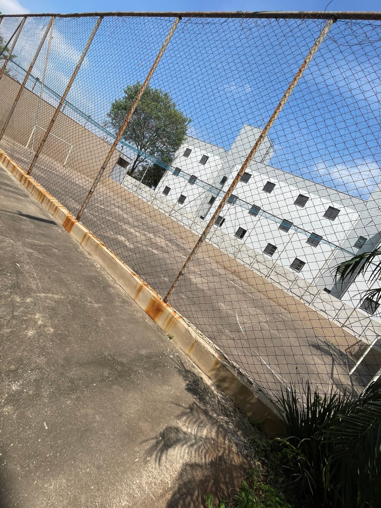 Foto 15